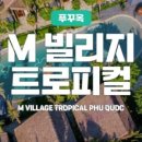 코지빌리지 이미지