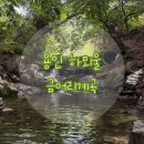 하뫼울 | 경기도 근교 당일치기 계곡 용인 금어리계곡 하뫼울