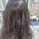 제이브라운헤어 - 171139 | 제이브라운헤어