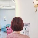 샐리헤어살롱