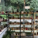 명산장어 이미지