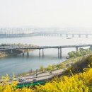 개나리공원2 이미지