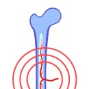 수정동물병원 이미지
