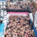 대관령로 이미지