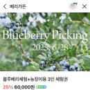진성농장 | [용인]아이와 농장체험&amp;키즈카페 블루베리 수확하기 | 치유농장 베리가든 솔직후기 비추천?추천?