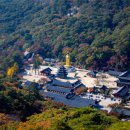 속리산 네이버블로그