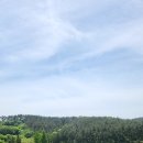 아시아드내과의원 | 사직동내과 수액 맛집 ! 컨디션 회복에 좋은 수액 궁금하시죠~