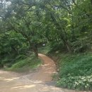 명상길 | 20250823 태화산 마곡사 백범명상길, 일종의 등산 후기