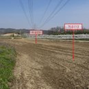 월곡동1 이미지