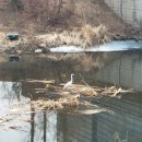 출판단지(다산교사거리) 이미지