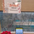 책나무분당수내독서논술학원