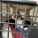 태능동물병원 이미지