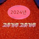 2024년 고추가루 고춧가루 김장용 고추장용 청양용 시세 가격 판매 구입 이미지