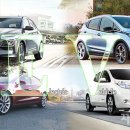 황금카모터스 이미지