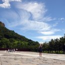 물의 기억 이미지