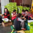여주축산업협동조합 이미지