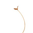 소통하는 나무 이미지