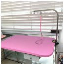 츄펫살롱 이미지