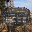 덕산 산딸나무길 | [공지] 예산 덕산온천 메타세쿼이아길 황톳길 맨발걷기 체험