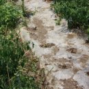 장미별장여관 이미지