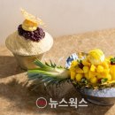 리얼프라자 이미지