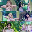 아이엠카