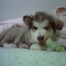 새로나슈퍼 이미지