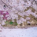 문봉2리 이미지