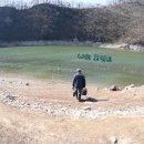 청풍호 감 이미지