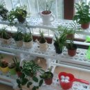 롯데마트 사거리 이미지