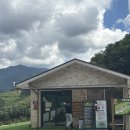 칠현로 | ▪️단양) 프리미엄존 P5사이트 개별화장실 _ 도담캠핑장