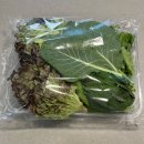 도계농협농산물산지유통센터 | 무농약 모듬쌈채소 추천 만인산농협 삼겹살용 모듬쌈