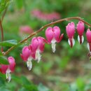 최창순 농장 이미지