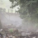 산속정원캠핑장 이미지