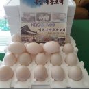 명인2농장 네이버블로그