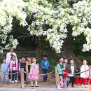 하얀꽃어린이공원 이미지