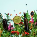 도움푸드 이미지