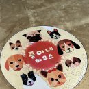 콩이네하우스 이미지