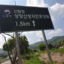 덕암골집 Daum카페