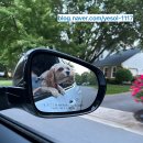 다솔주유소 이미지