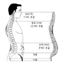 퍼진궁뎅이 이미지