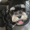 동탄그린약국 | 염색도 퍼스널컬러 필수! 머리 잘하는 미용실 동탄 호수공원 차운 쿨톤레드 후기