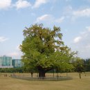 토성역1번출구 이미지