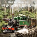 필립 | 멜버른 투어 추천, 오지나라 퍼핑빌리 시크릿존 필립아일랜드 후기