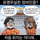 'Netizen 시사만평(時事漫評)떡메' '2024. 08.10'(토) 이미지