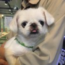 헤이독청주 이미지