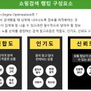[스마트<b>스토어</b>] 쇼핑검색 <b>랭킹</b>구성요소(SEO) 파헤치기