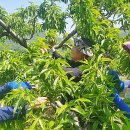 감곡농협 이미지