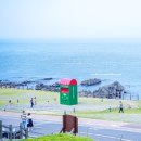 울산 가볼만한곳 베스트 10 후기