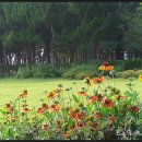 허균,허난설헌기념관 이미지